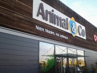 ANIMAL AND CO